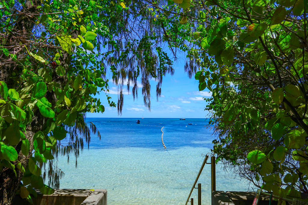 Green Island