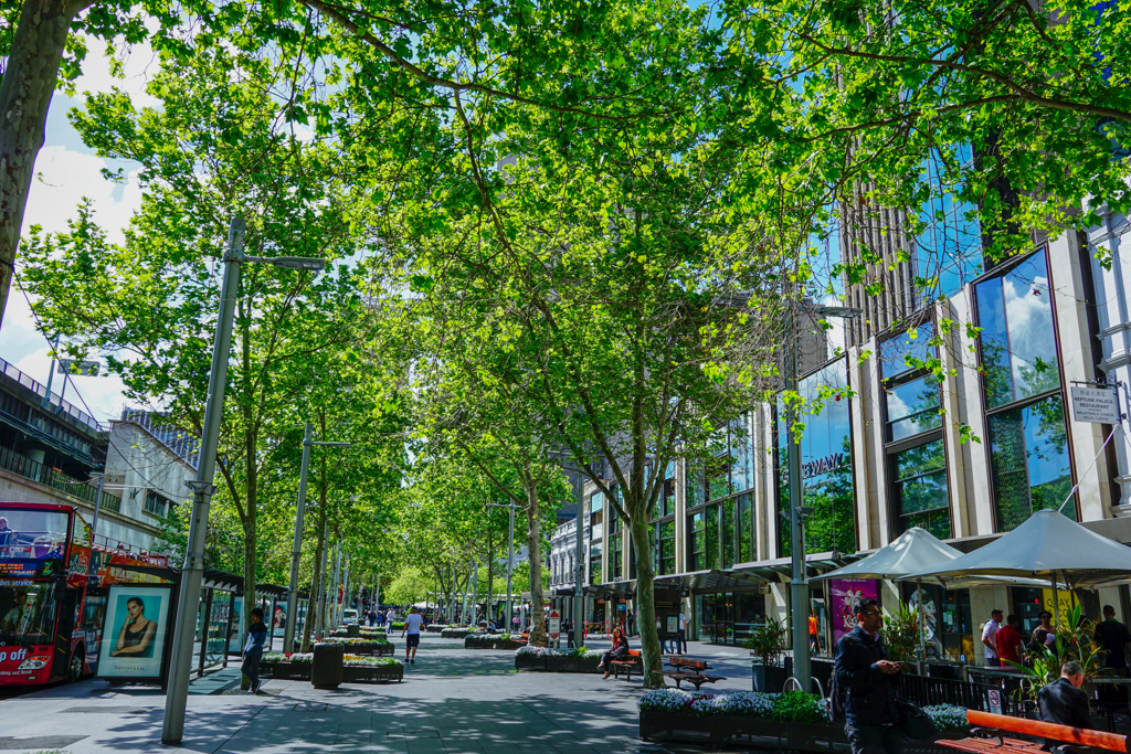 Circular Quay Streetscape