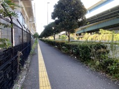 歩道