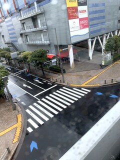 善本琢路と雨のお台場