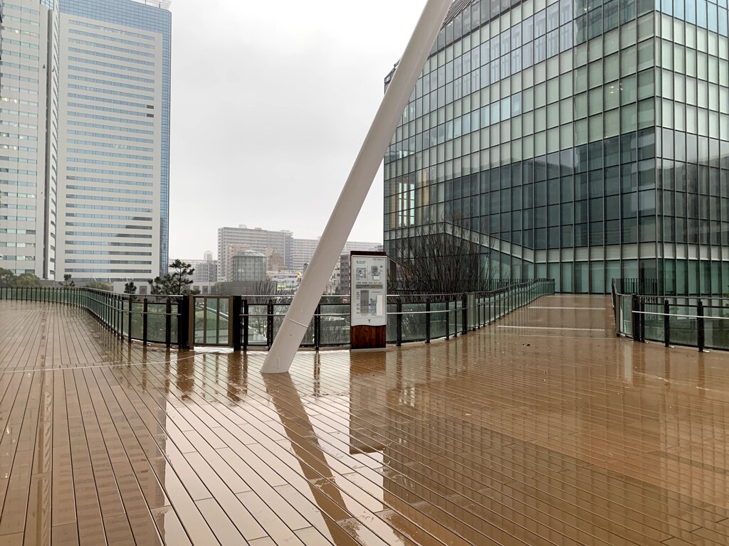 善本琢路と雨の日の豊洲のららぽーと