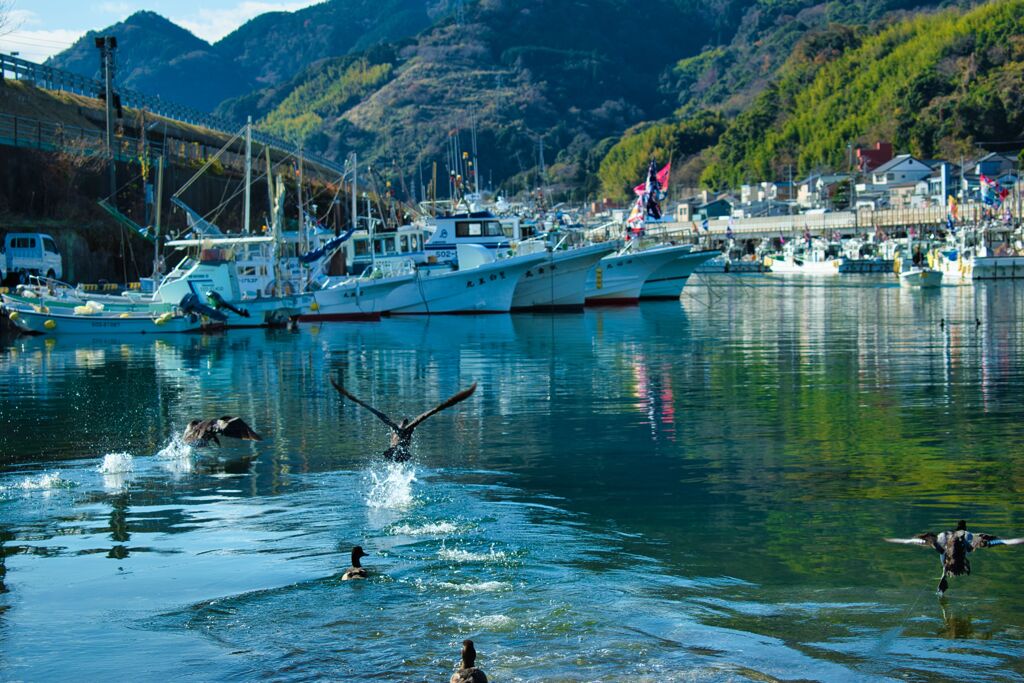 旅立ち