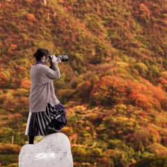 松茸探索中