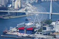 コスモタワーからみる海遊館