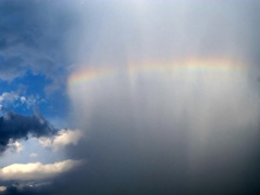 雨上がりの虹