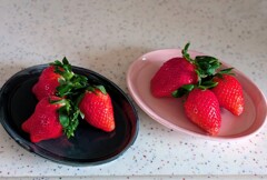 苺の旬