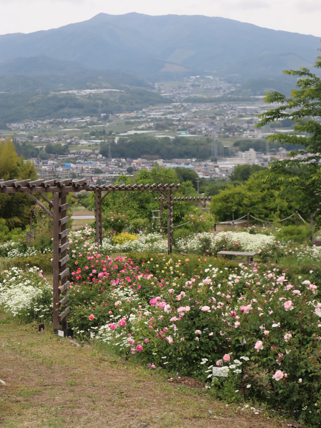 信州国際音楽村
