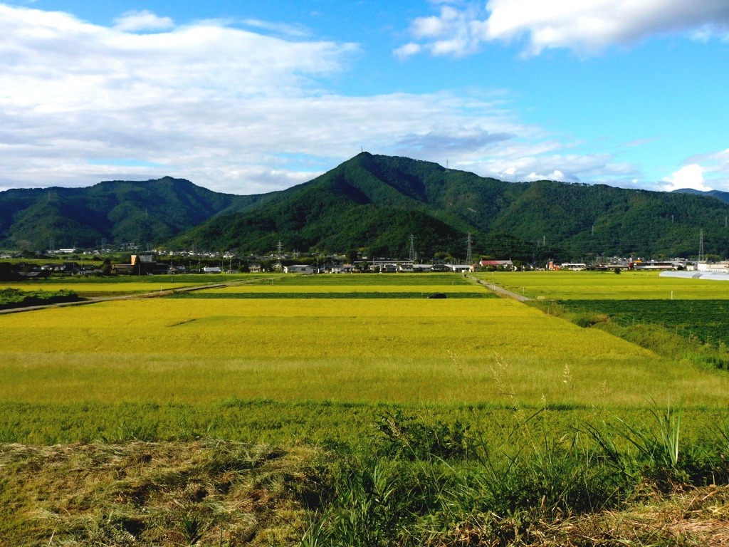 塩田平秋景