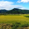 塩田平秋景