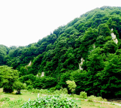 裾花峡温泉より