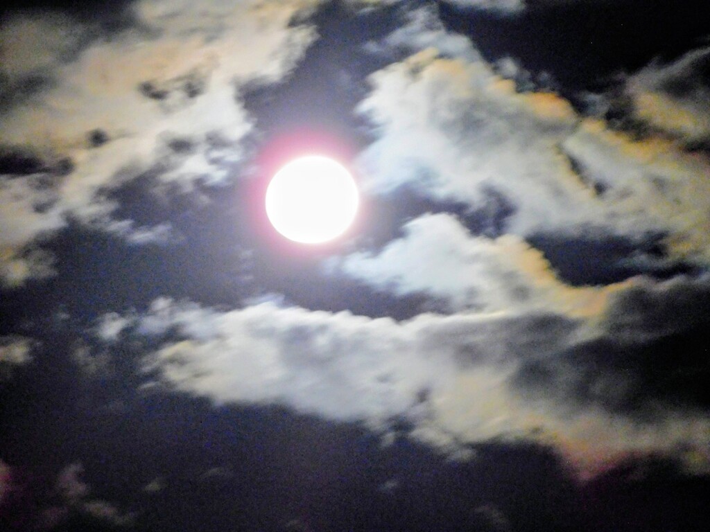 中秋の名月