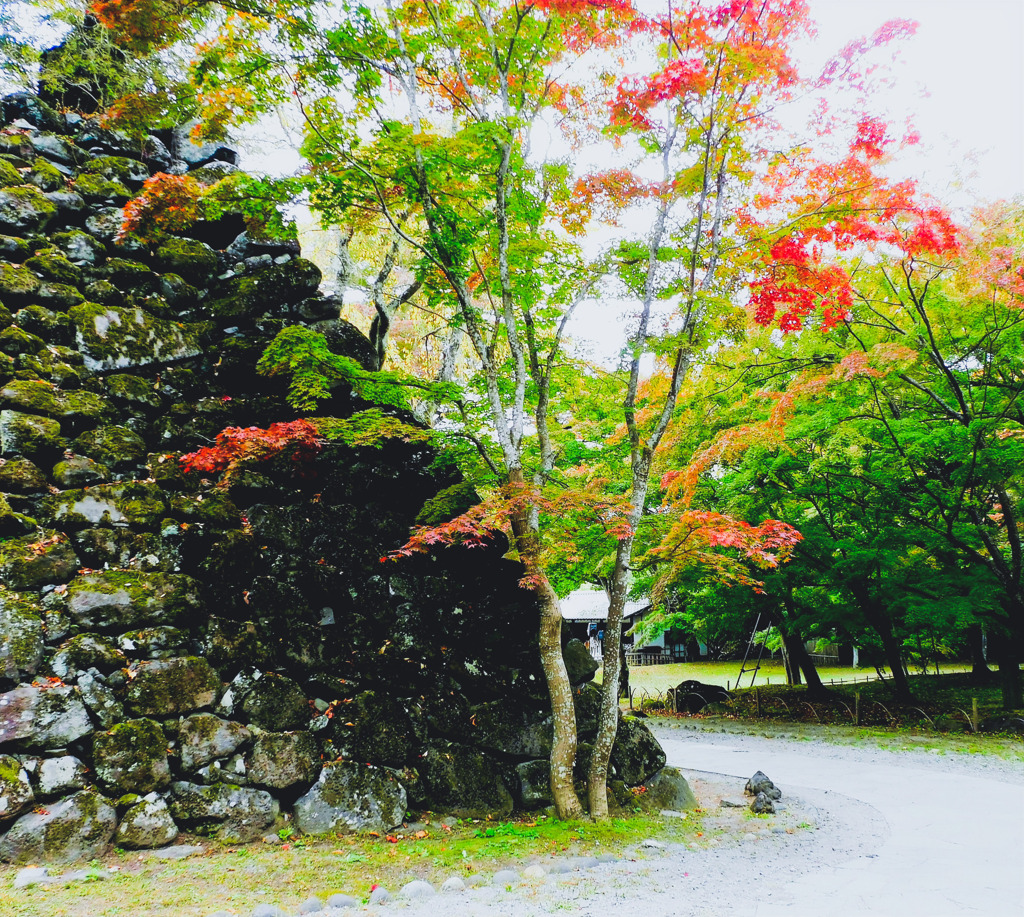 紅葉狩り