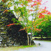 紅葉狩り