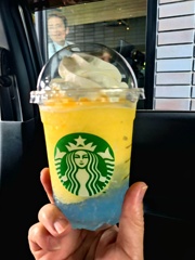 サンシャインパインフラベチーノ
