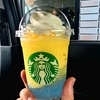 サンシャインパインフラベチーノ