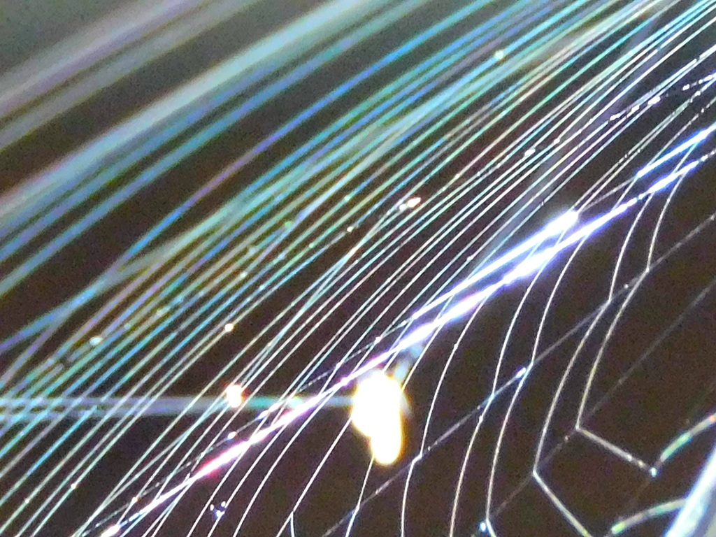 碧風に揺れて