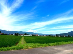 北信濃夏景色