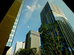 新宿の空