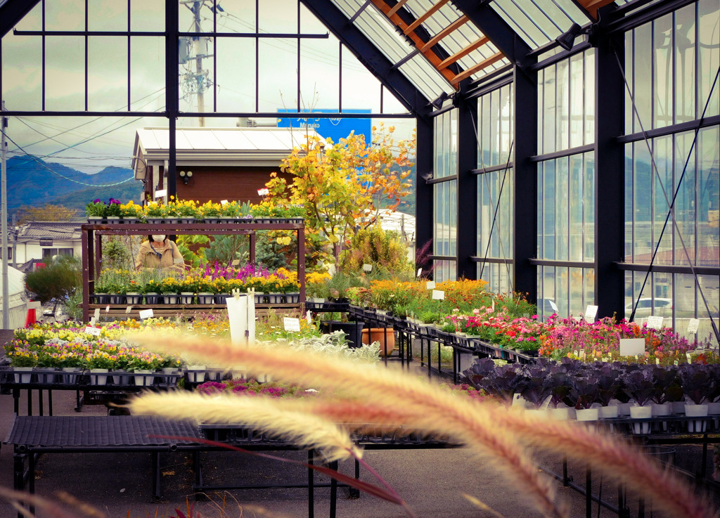 おぎはら植物園