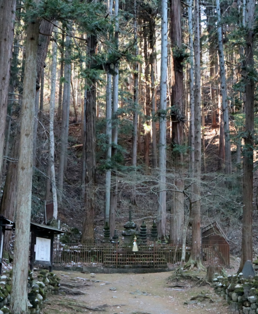 森の中に