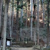 森の中に