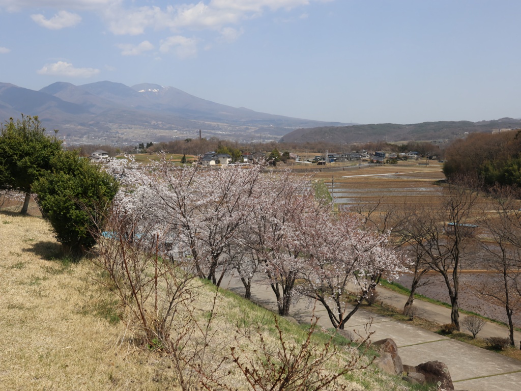 八重原春景