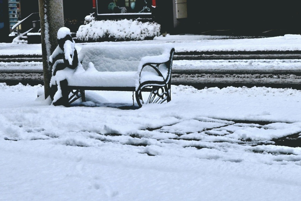 里にも雪