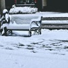 里にも雪