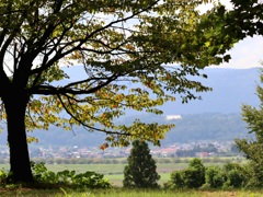 紅葉初め
