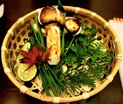 今年は豊作です