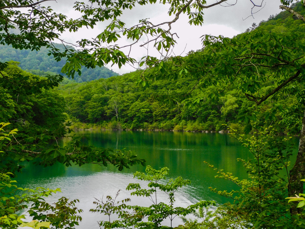 高原の池