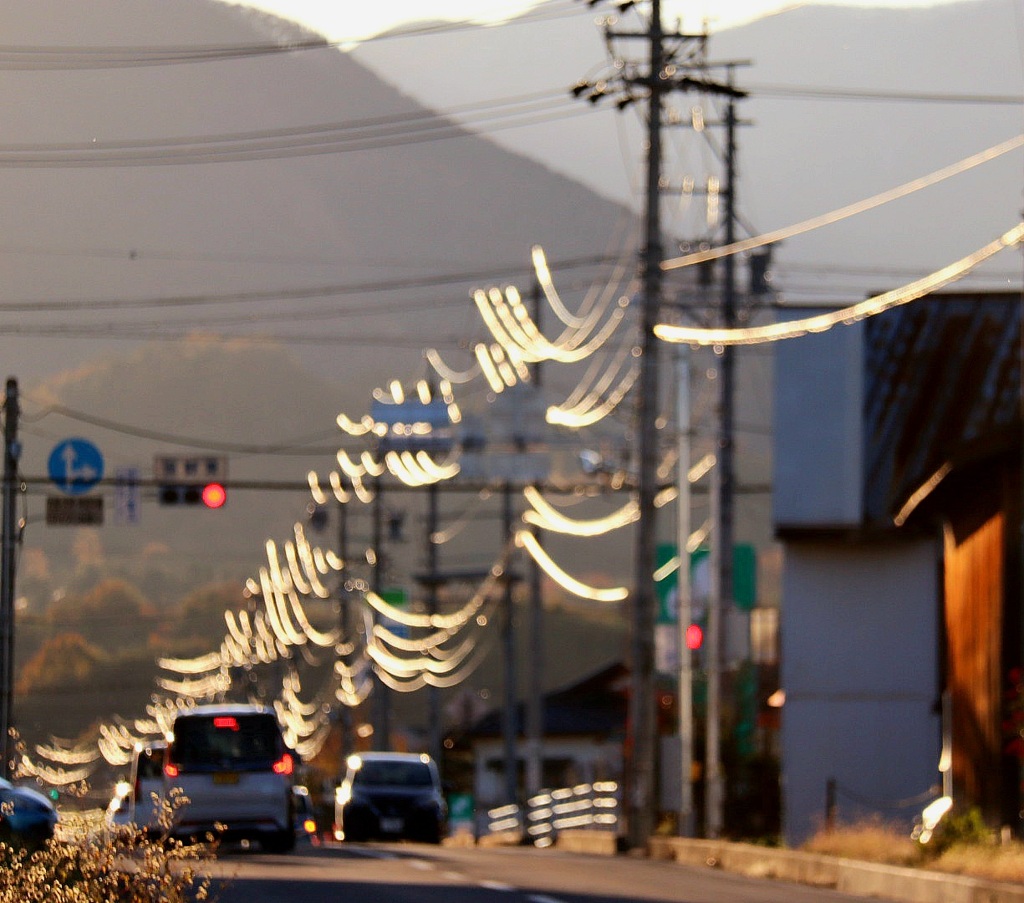 西陽にたわむ電線