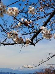 山を望む