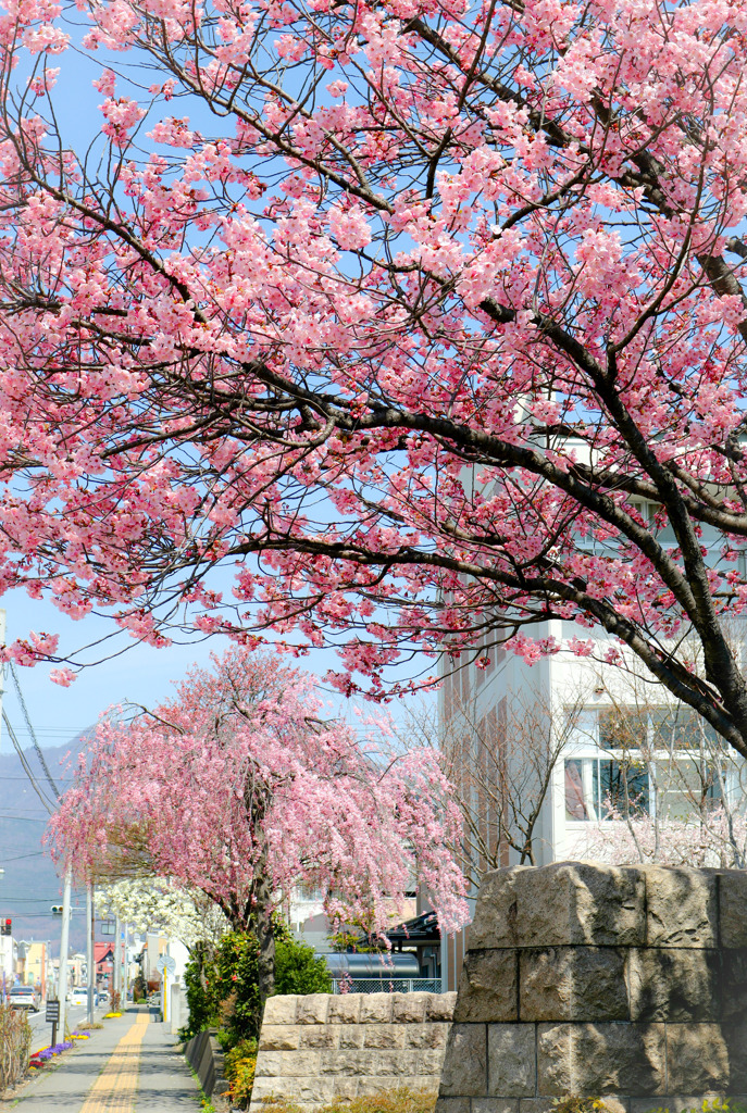 通学路