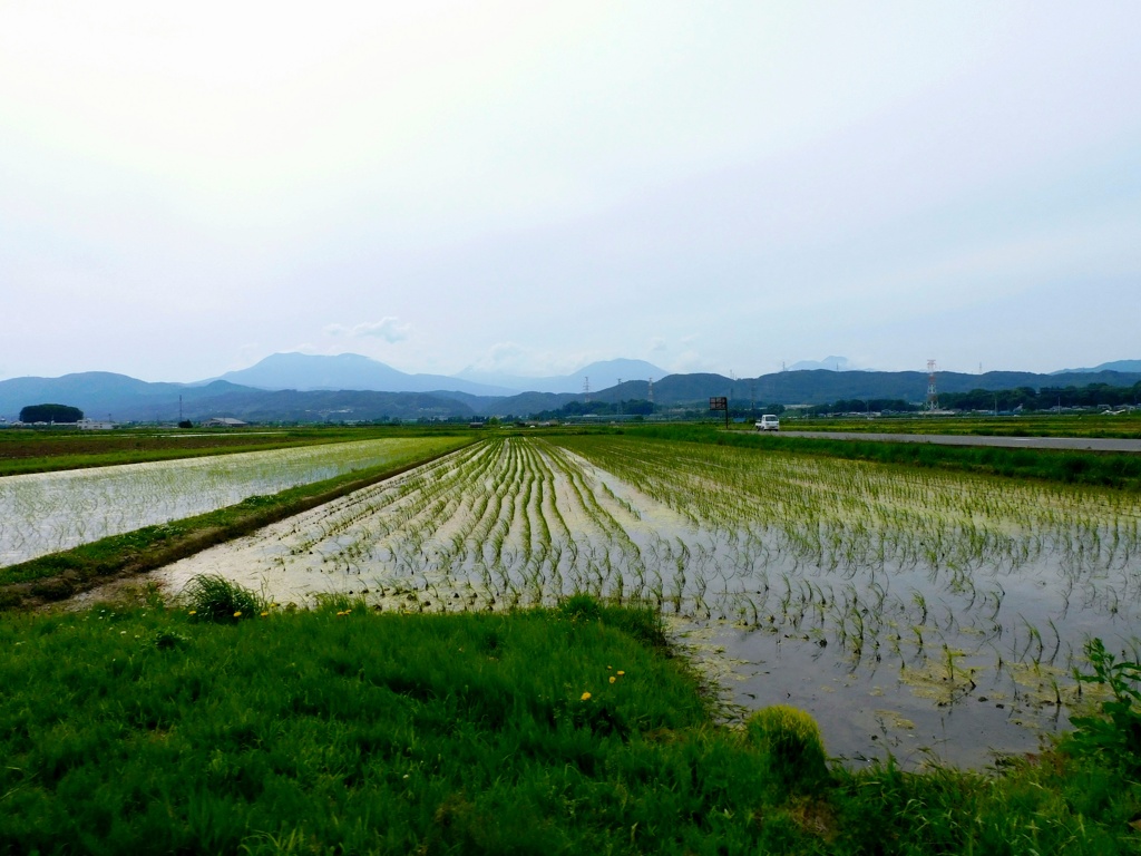 北信五岳と早苗田