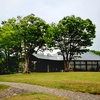 信州国際音楽村