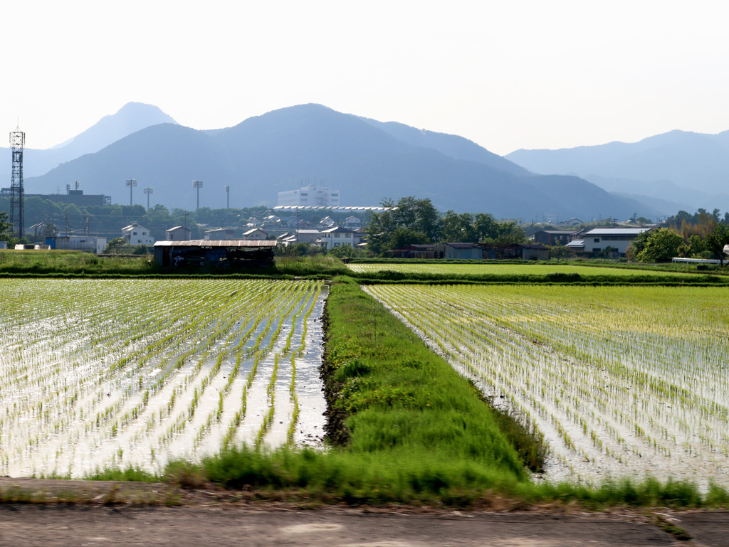 ５月の風