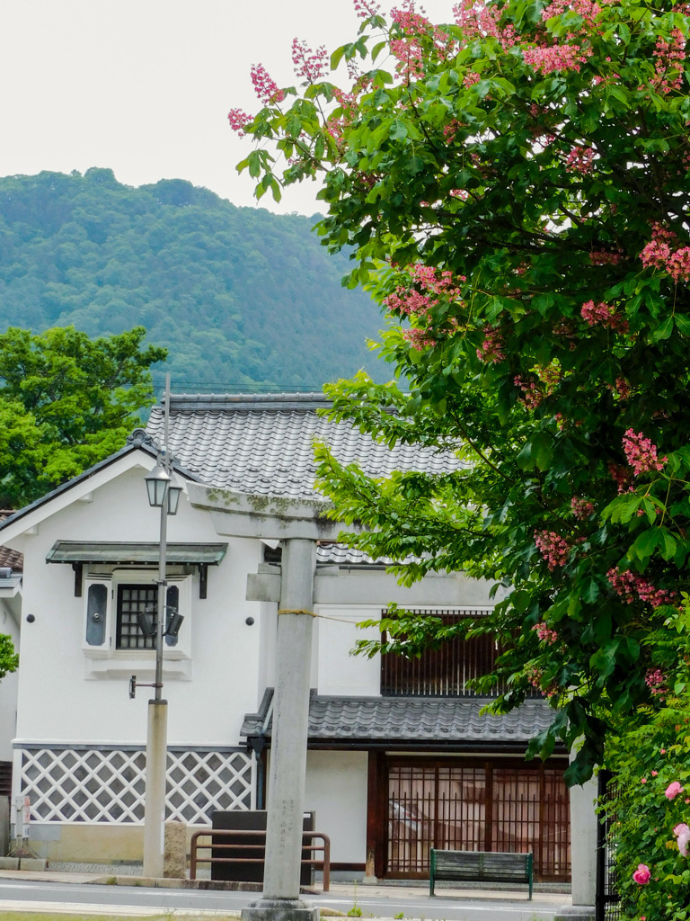 土蔵のある町