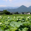 溜め池
