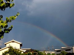 大きな虹