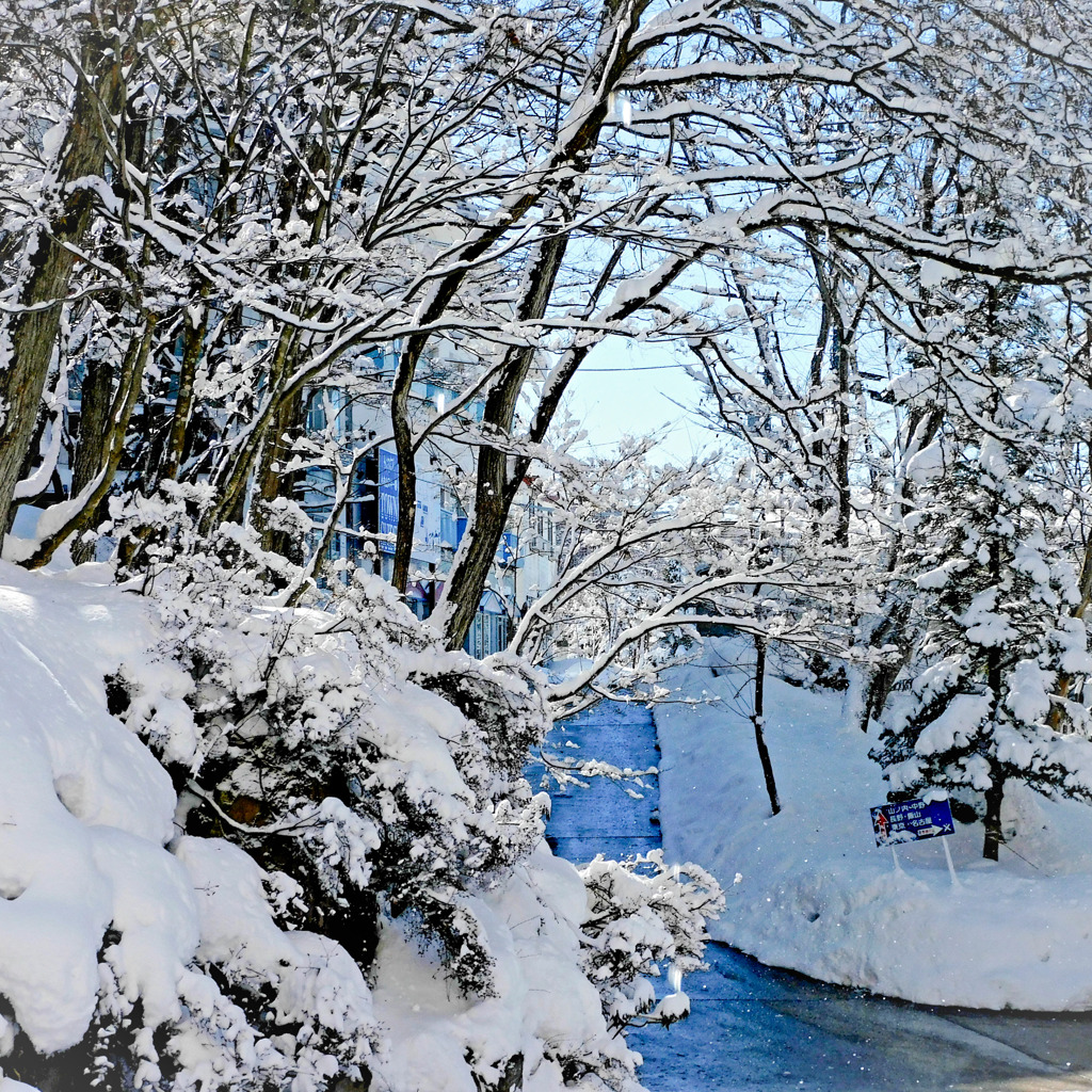 雪の花