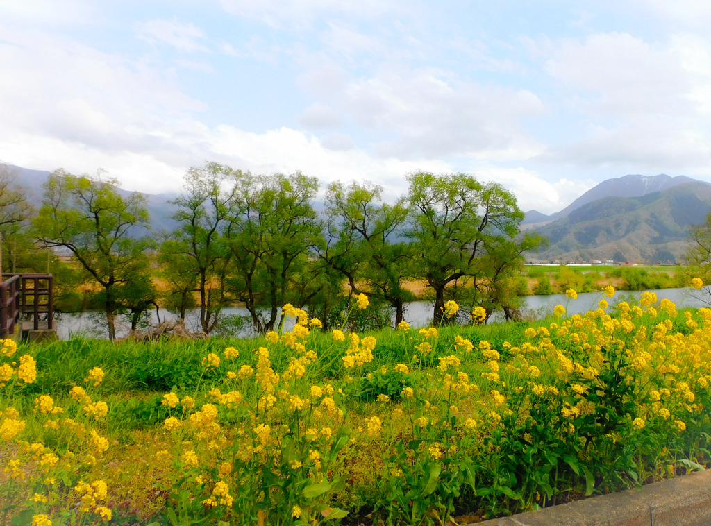 飯山春景