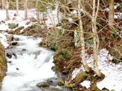 雪融け