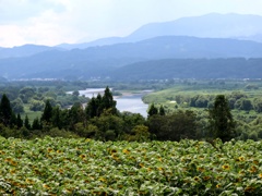 夏の果てをみる