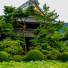 信濃国分寺