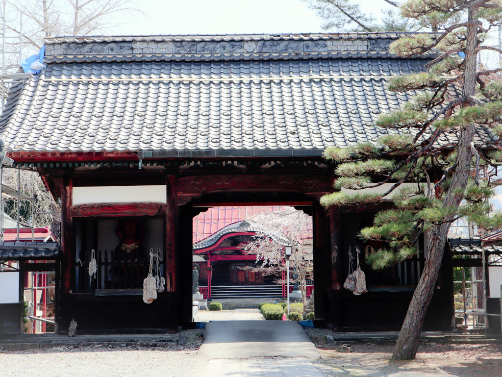 山門と桜