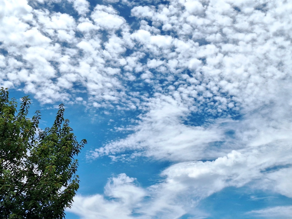 ひつじ雲