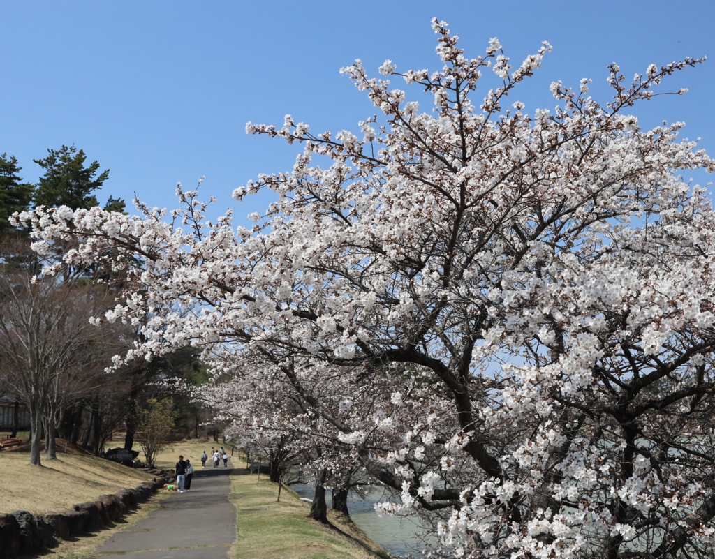 明神池遊歩道