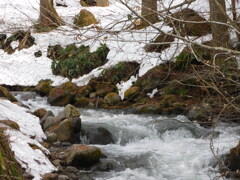 雪融け