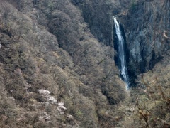 春の澗満滝